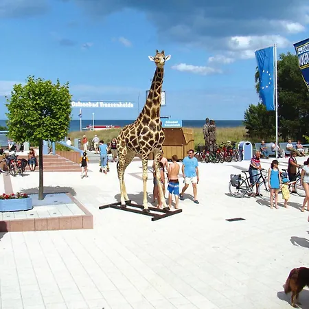 Doppelhaushaelfte Strandhaus Ii In Trassenheide